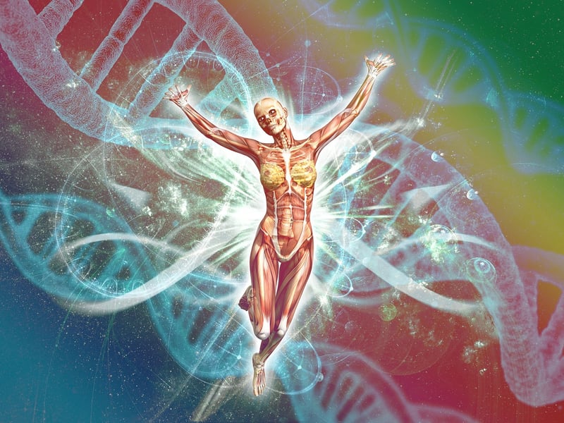 Genetic Variations
