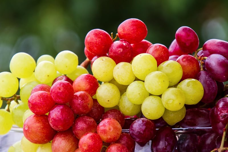 Grape Varieties